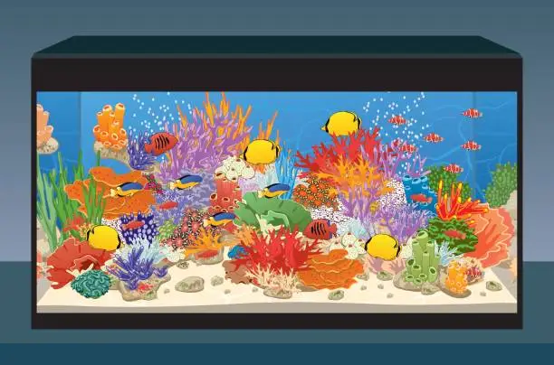 Vector illustration of Marine reef saltwater aquarium