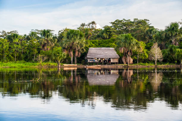 pacaya samiria national park, amazonía peruana. río marañón - amazonía del perú fotografías e imágenes de stock