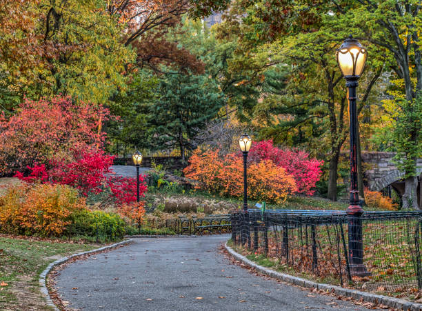 istock Central Park, New York City 663420098