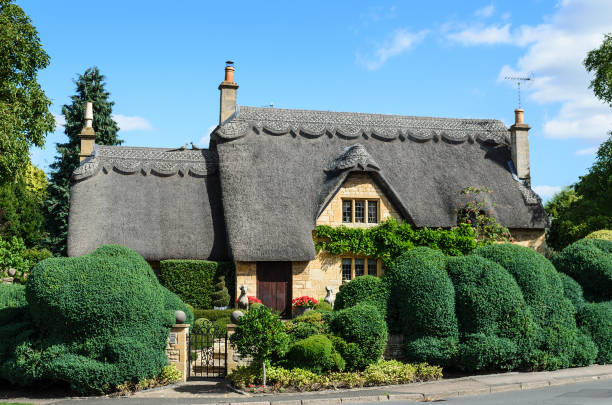 Thatched roof house in Chipping Campden, Cotswolds Chipping Campden, UK - August 31, 2013: An English thatched cottage built out of Cotswold stone with a beautiful hedge in the garden in Chipping Campden, the Cotswolds, England, UK. thatched roof stock pictures, royalty-free photos & images