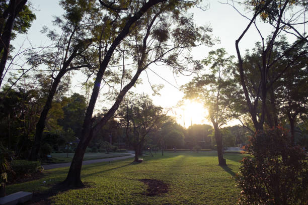 istock Sunset at the public park 663422128