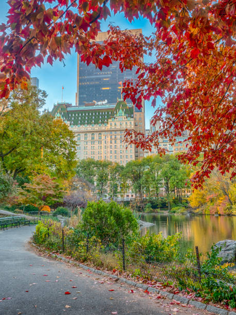 istock Central Park, New York City 663422292
