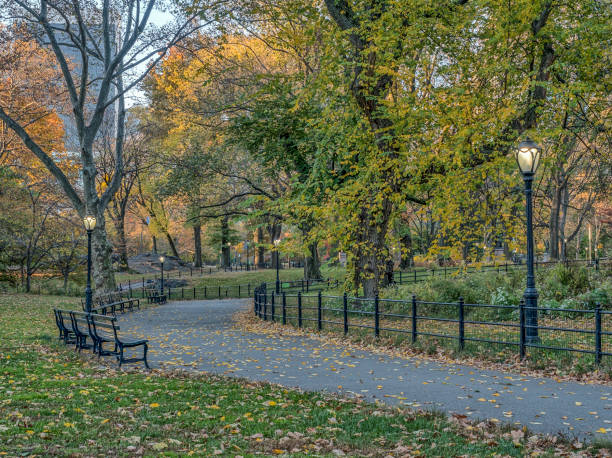istock Central Park, New York City 663437370