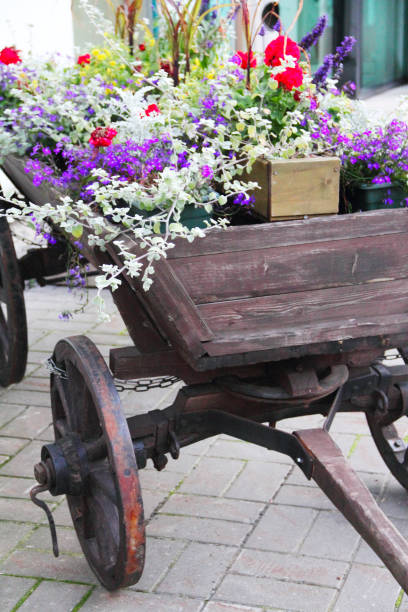 istock Old cart with flowers 663451528