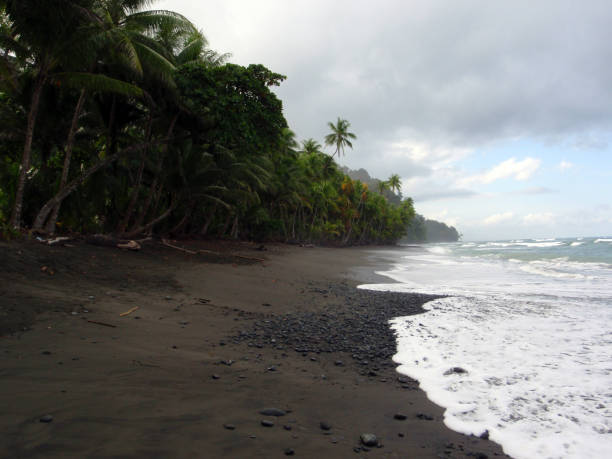 istock beach in Punta Banco, Costa Rica on the Pacific Coast 663481488