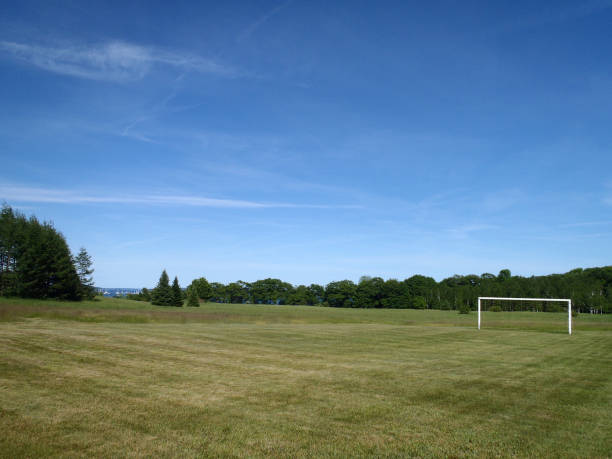 istock Soccer Field with Goal 663482390