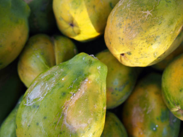 istock Hawaiian papaya pile 663483060