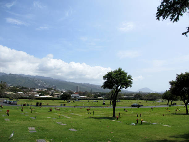 istock Graveyard with flat graves, a white bird, statues, and cars next to Diamond Head Crater 663483620