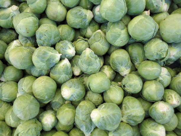 istock Pile of Brussel Sprouts 663483688