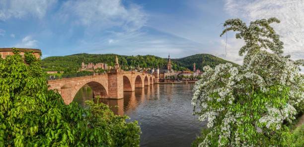 istock Heidelberg am Neckar 663484408