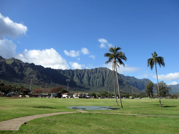istock Grassy field  at Waimanalo District Beach Park 663484862
