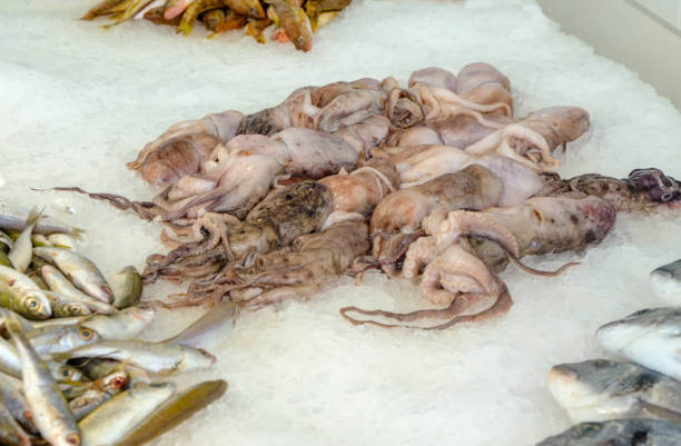 Raw squid on display at the fishmarket, Limassol, Cyprus