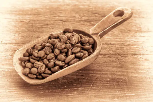 rustic scoop of roasted coffee beans against a grunge painted wood background, retro sepia toning