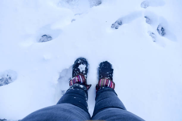 istock Feet in the Snow 663550940