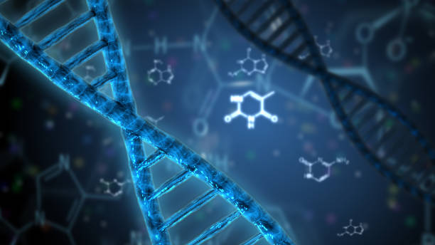 istock structure of the dna double helix 663578164