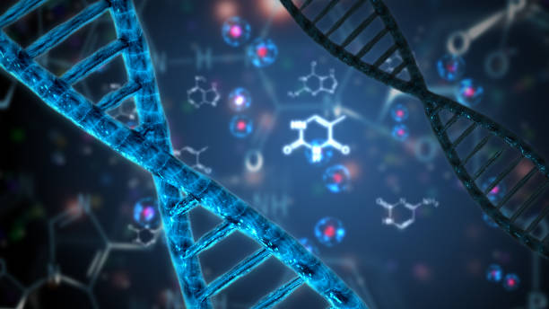 nukleinsäure-doppel-helix dna - säure stock-fotos und bilder