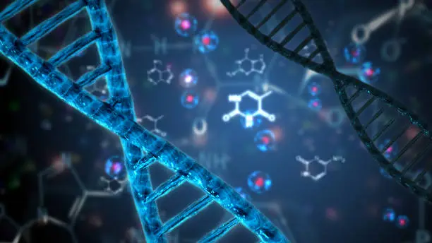 Photo of nucleic acid double helix dna