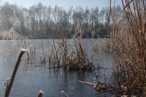 istock Winter near the water 663579658