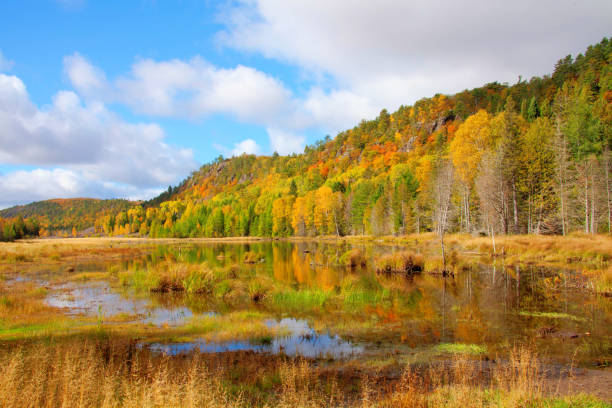 istock Cliff Drive Keweenaw Peninsula Michigan 663631232