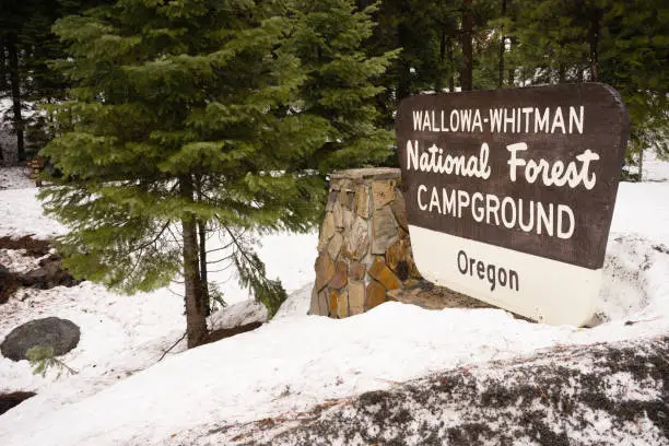 Photo of Wallowa Whitman National Forest Oregon Campground Sign USA