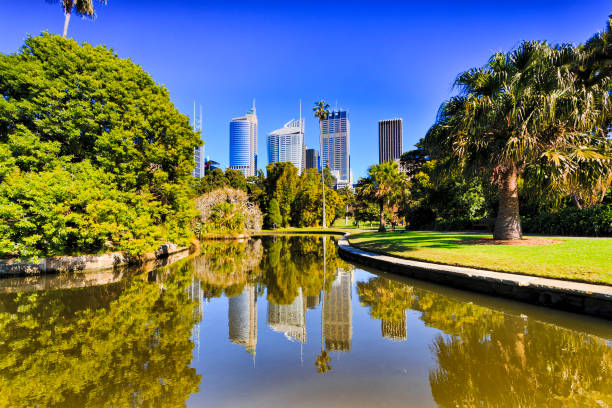 istock RBG City refl pond green day 663654636