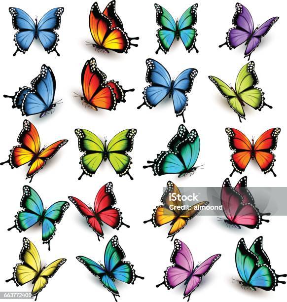 Ilustración de Colección De Mariposas De Colores Volando En Diferentes  Direcciones y más Vectores Libres de Derechos de Mariposa - Lepidópteros -  iStock