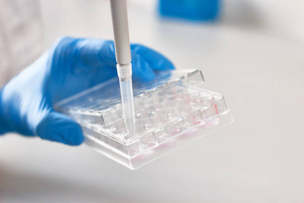 istock Scientist pipetting liquids for research 663780314