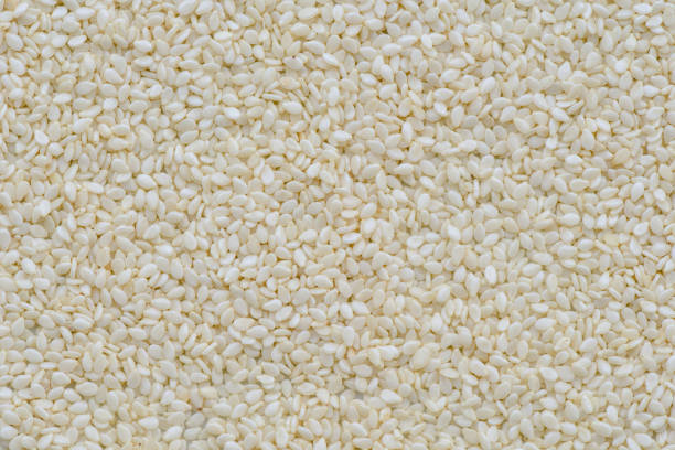 istock Prepared white sesame for cooking, White sesame seed background 663780350