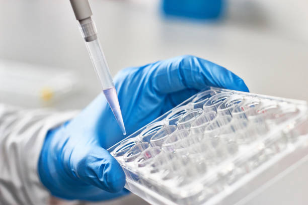 istock Scientist pipetting liquids for research 663780528
