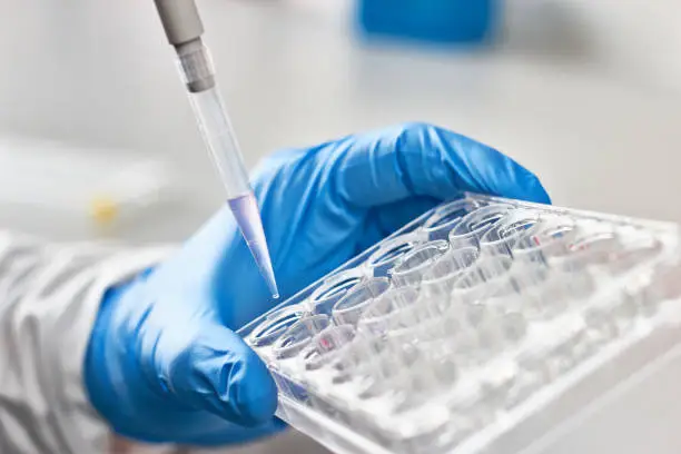 Photo of Scientist pipetting liquids for research