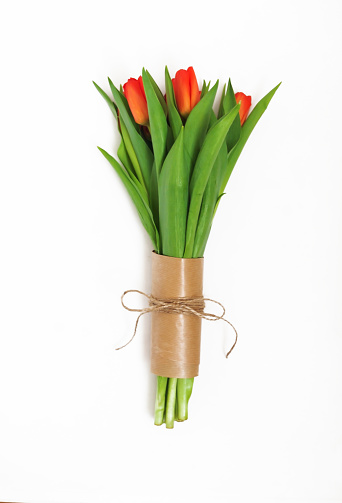 Bouquet of red tulips packed in kraft paper in retro style isolated on white background.