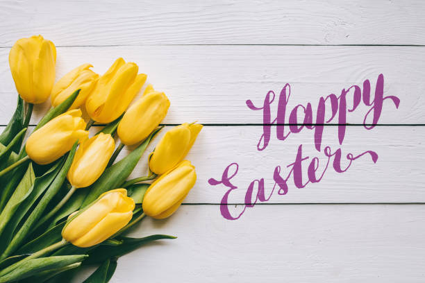 istock Happy easter hand lettering calligraphy text. Yellow tulips bunch on white wooden planks rustic barn rural table background. Letters, inscription. Beautiful horizontal flat lay postcard. 663781620