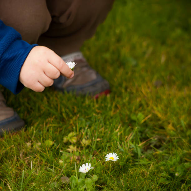istock Child hand holding a flower 663782084