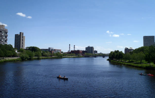 istock People rowing in boats on the Charles river by Harvard University 663800830