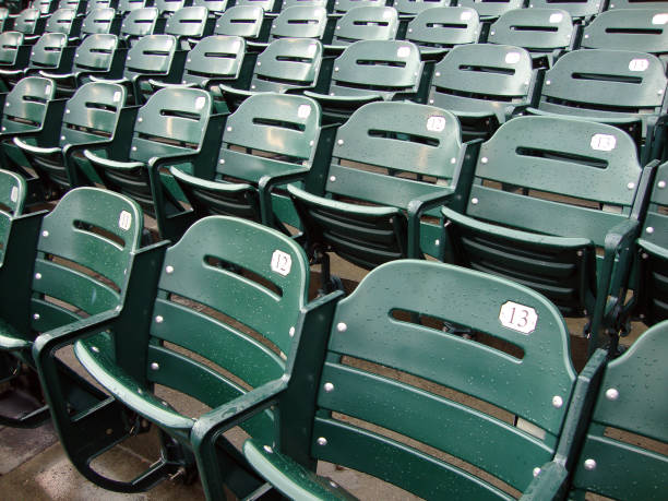 istock Rows of empty wet green stadium seats, seats number 13, 12, 11 663803408