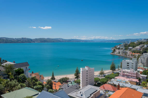 istock Wellington Harbour and Oriental Bay 663809632