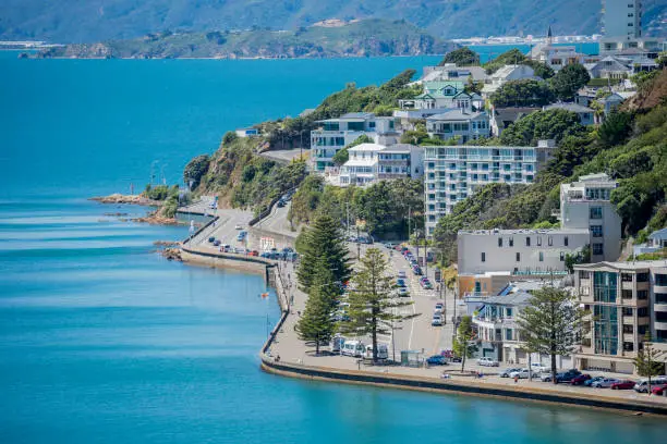 Photo of Wellington Harbour and Oriental Bay