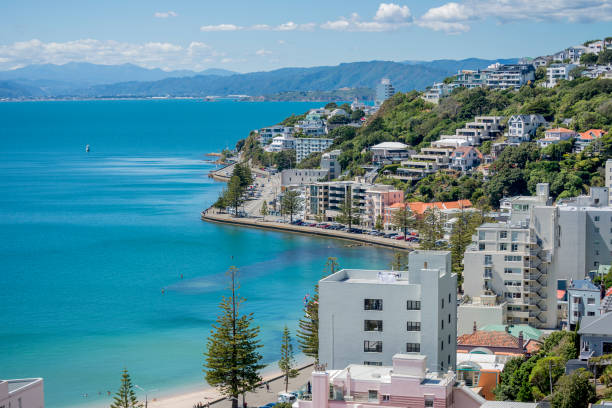 istock Wellington Harbour and Oriental Bay 663810484