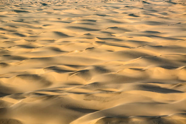 istock Large sand dunes in a desert from the air 663813272