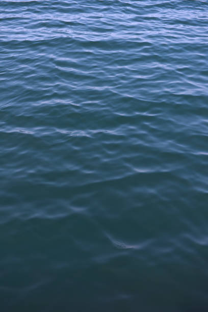 istock Water surface texture background of the deep sea 663823606