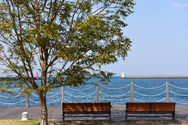 istock Bench overlooking the sea against clear sky 663823652