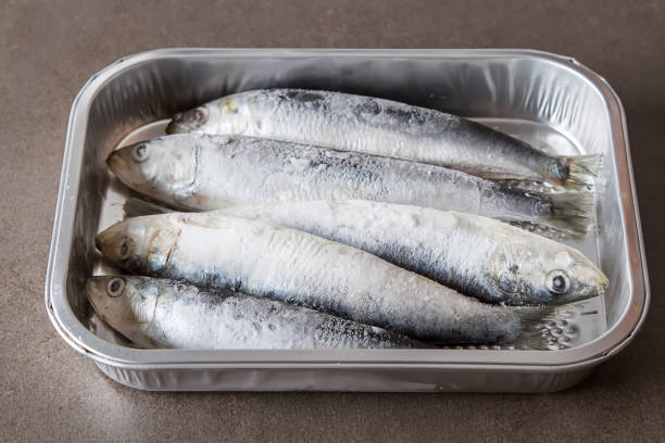 istock Frozen sardines. Cornish. For grill and BBG. Dark background. 663841940