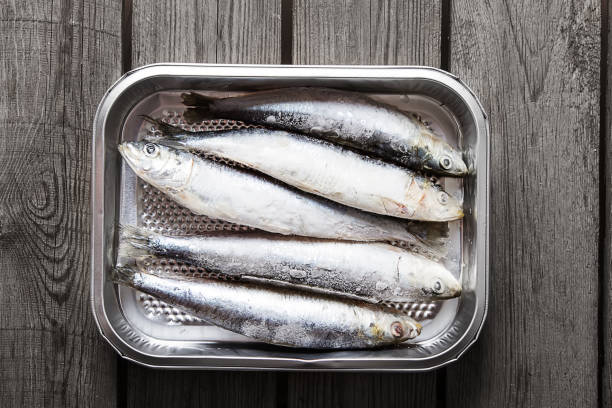 istock Frozen sardines. Cornish. For grill and BBG. Dark wooden background. 663842180