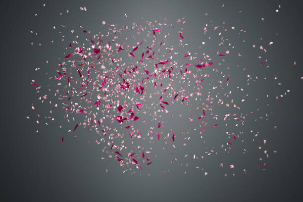 Flower petals failing down on dark background Pink flower petals failing down on dark background hovering stock pictures, royalty-free photos & images