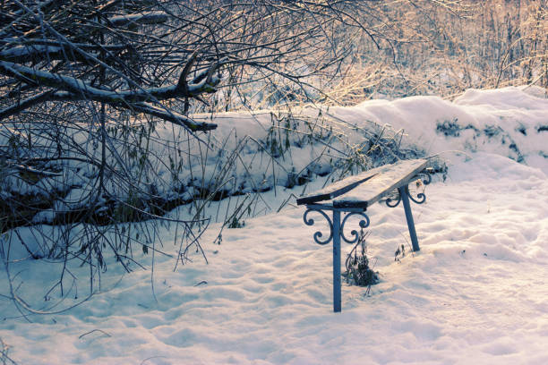 Wooden bench in the public park in snowed. Winter in outdoor.