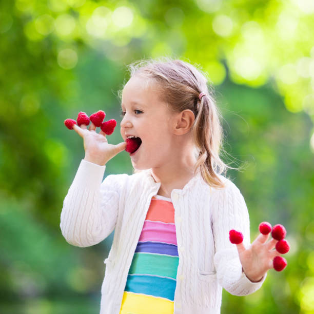 夏の子供の選びと食べるラズベリー - 11194 ストックフォトと画像