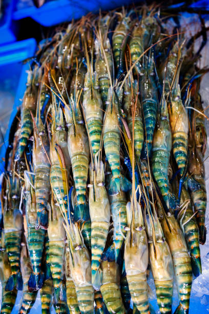 istock Fresh prawns on ice in seafood market 663883776