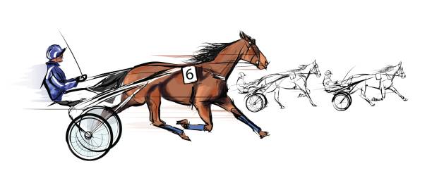 Horse carriage racing Horse carriage racing - vector illustration animal harness stock illustrations