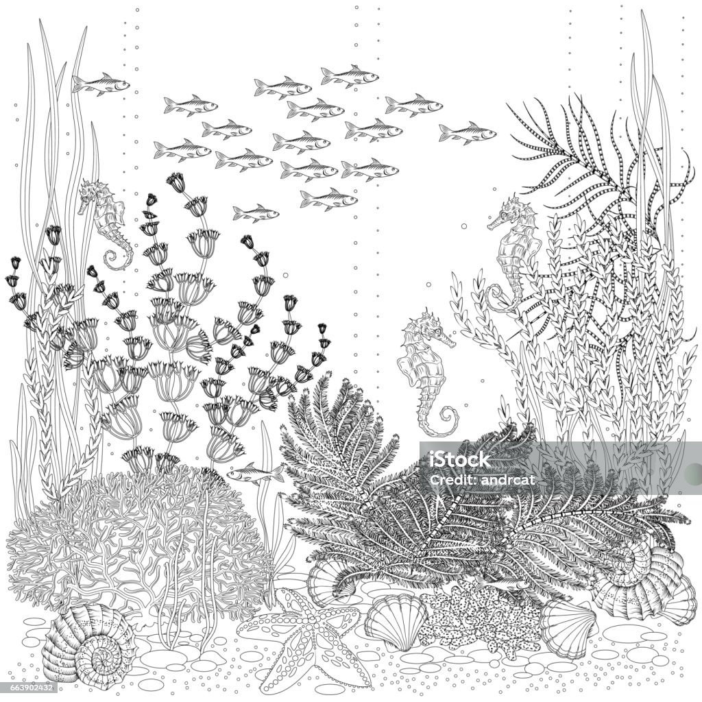 The Flora And Fauna Of The Seabed Stock Illustration - Download Image ...