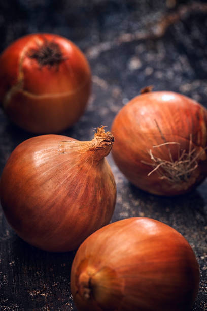 fresh onion on wooden background - 13585 imagens e fotografias de stock